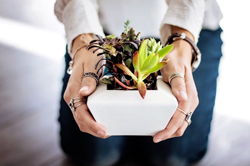 Unique Pots
