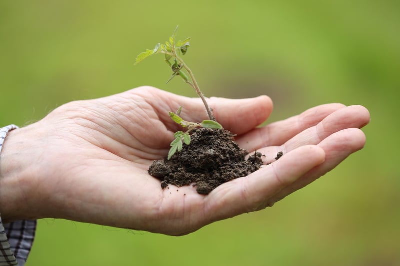 Sustainable Gardening