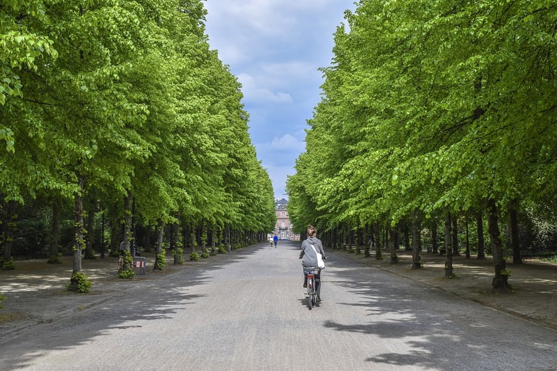 Green park for group projects