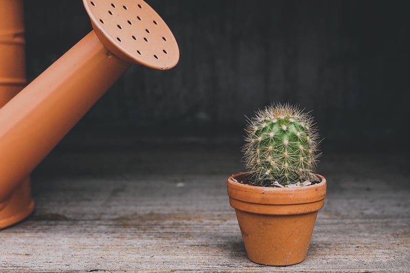 Geometric Planters