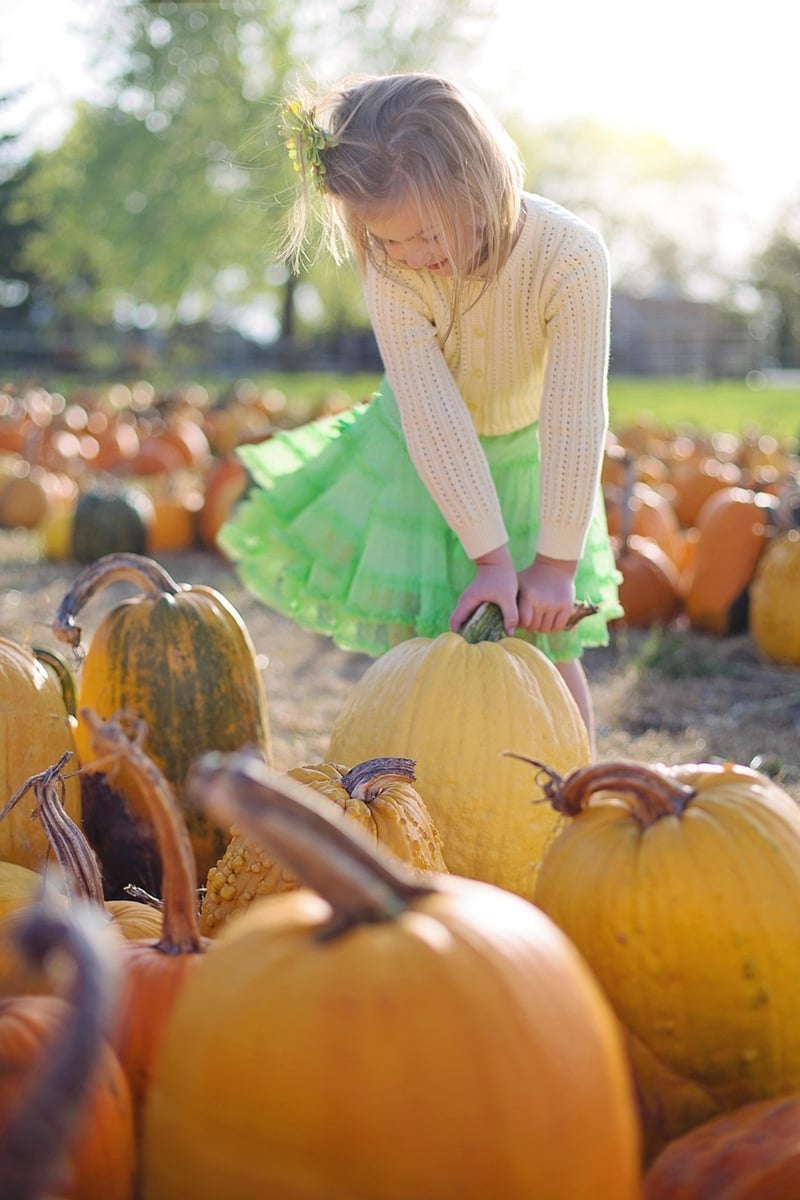Fall Harvest Display
